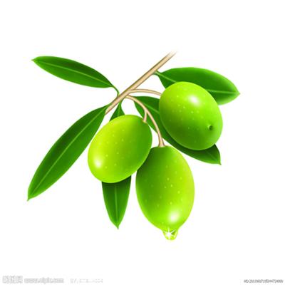 Olive Leaf Extract, Factory Supply Top Quality Olive Leaf Extract, Pure Natural Green Olive Leaf Supplement