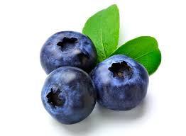 Blueberry Extract, Professional Factory Supply Best Pure Natural Blueberry Extract, Green Healthy Fruit Extract