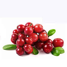 Cranberry Extract, High Quality 100% Pure Natural Green Healthy Cranberry Extract, Best Price