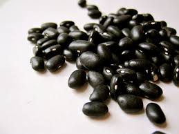 Black Bean Extract, Professional Manufacturer Supply Best Pure Natural Black Bean Extract, Best Price