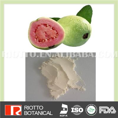 Guava Powder, Professional Factory Supply Top Quality Pure Natural Green Guava Powder, Best Price