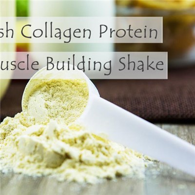 Fish Collagen Protein Muscle Building Shake