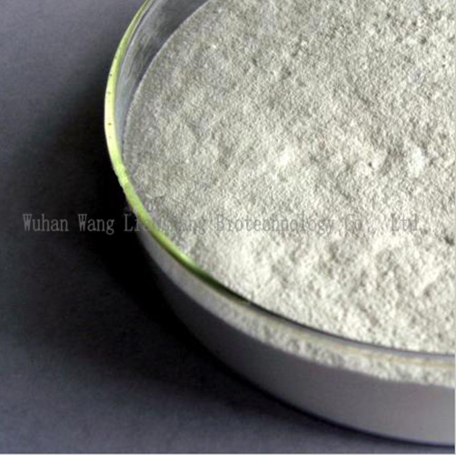 99% Purity Bodybuilding Steroid Powders Drostanolone Enanthate CAS: 472-61-145