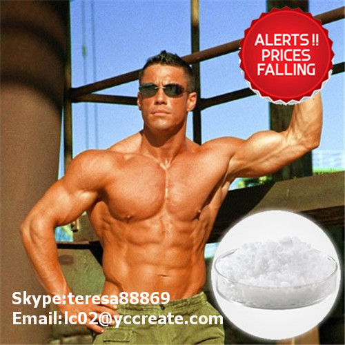 Anabolic Steroids Hormone 1255-49-8 Testosterone Phenylpropionate of Preventing Muscle Atrophy