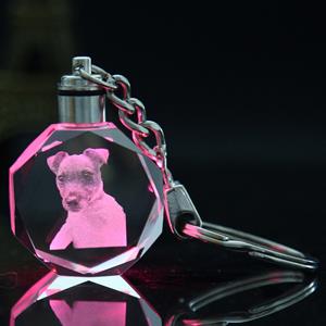 PersonalizeLED Crystal Keyring With Dog Picture