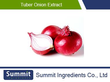 Tuber onion extract 10:1,Onion,Allium cepa, seed