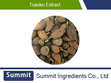 Tsaoko extract 10:1,Amomum tsao-ko, Fruit,black cardamom