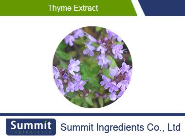 Thyme extract 10:1,Thymus vulgaris,mongolicus,mongolicus Ronn