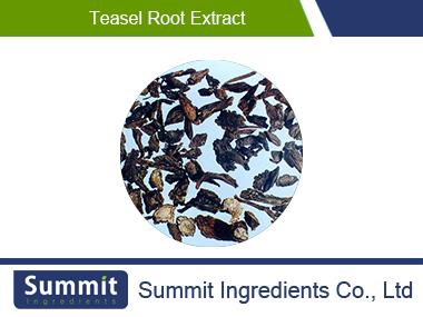 Teasel root extract 10:1,Root,Radix Dipsaci,Himalaya teasel