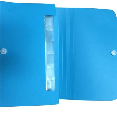 PP Business Expanding File Folder With Botton