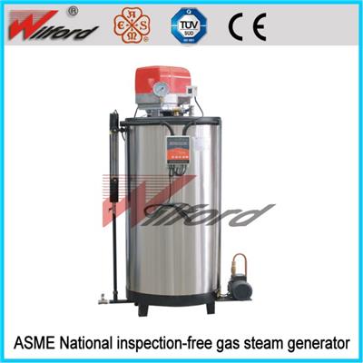 ASME Gas Steam Generator