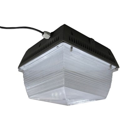40W LED Canopy Light