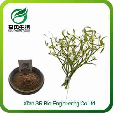 Mistletoe Extract,Factory Supply Pure Natural Mistletoe Powder,Top Quality Mistletoe Supplement