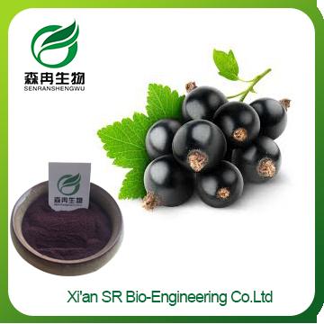 Organic Black Currant Powder ,Factory Supply Freeze Dried Blackcurrant Powder , High Quality Water Soluble Blackcurrant Extract