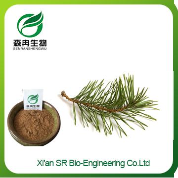 Pine Needle Extract,High Quality Hot Sale Siberian Red Pine Needle Extract,organic Pine Needle Powder