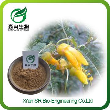 Sophora Flavescens Extract,Factory Supply High Quality Sophora Extract