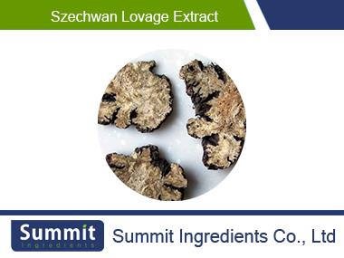 Szechwan lovage extract 10:1,Ligusticum wallichii,the rhizome of chuanxiong,Lovage Extract