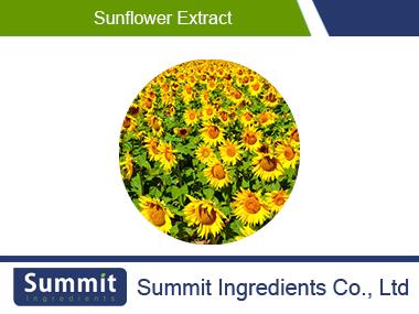 Sunflower extract 10:1,Malva farviflora,oil