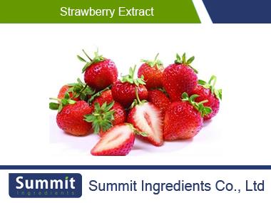 Strawberry extract,Strwberry Powder,Fragaria Anananassa Nipponica,Berries