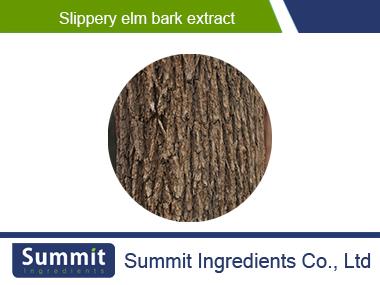 Slippery elm bark extract,Ulmus Rubra,Slippery Elm Bark Powder,Ulmus Pumila