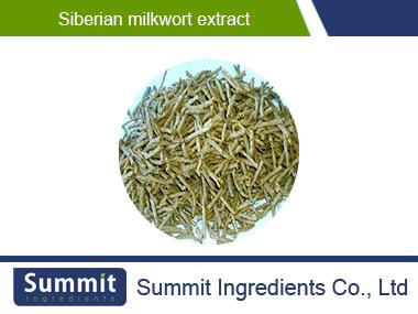 Siberian milkwort extract,Polygala Tenuifolia Extract,Thinleaf Milkwort Root Extract,Siberian Milkwort Powder