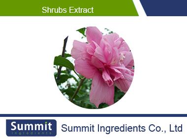 Shrubs extract,Shrub Althea Flower Extract,Shrubal Flower Extract