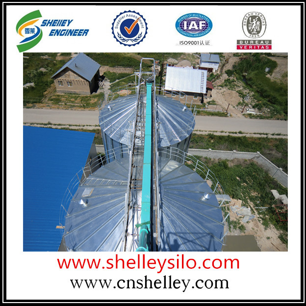 40 - 50t/h galvanized steel drag chain conveyor for grain