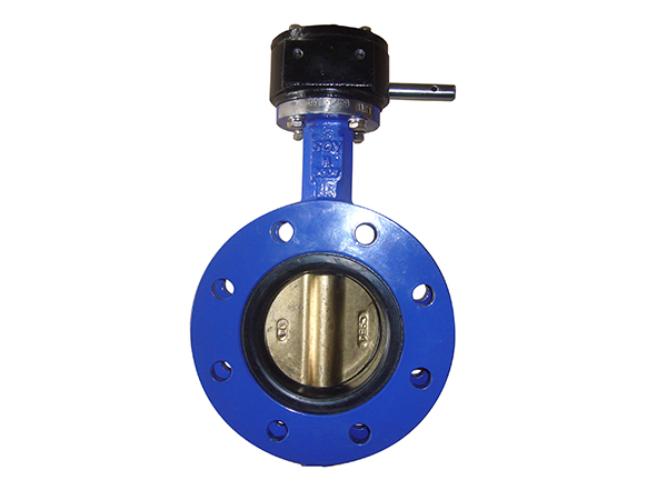 U Type Without Pin Butterfly Valves
