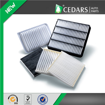 10 Years Experience Air Filter Wholesaler with OE Quality