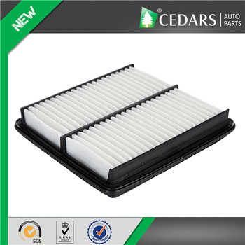 Reliable Car Air Filter Suppliers with 10 Years Experience