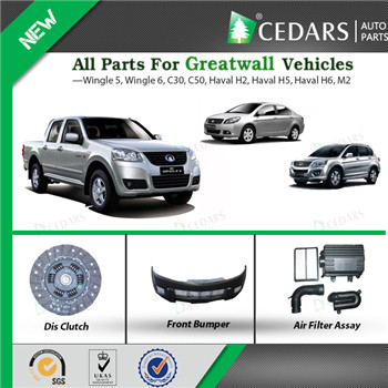Full Range Great Wall Auto Spare Parts with 12 Months Warranty
