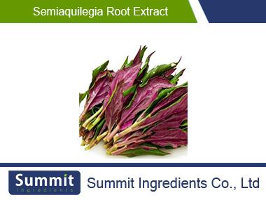 Semiaquilegia root extract,Semiaquilegia Adoxoides Makino,Gastrodia Rhizoma Extract
