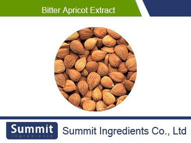 Bitter Apricot extract 95% Amygdalin,Prunus armeniaca. L.,Almond extract,apricot extract