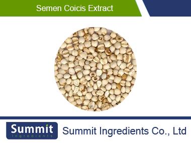 Semen coicis extract,Coix Lacryma-Jobi Seed Extract,Ma-yuen Jobstears Seed Extract,Semen Coicis Powder
