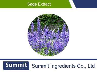 Sage extract5:1,Salvia Japonica Thunb.,Gloden-rod Extract,Salvia Officinalis Extract