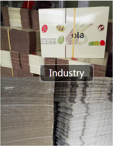 Industrial paper packing printing and manufacturer 