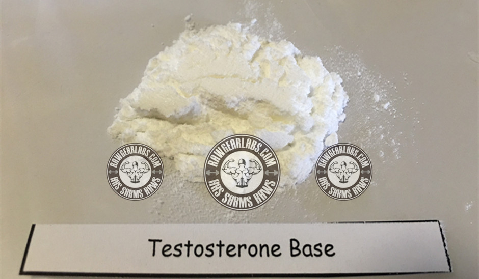 Buy Testosterone  Base  Powder 