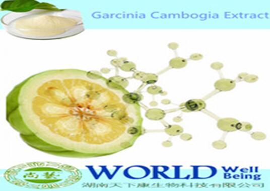 100% Natural Garcinia Cambogia Extract Lose Weight 10%-98%Hydroxy Citric acid(HCA)Organic Garcinia Cambogia Extract Powder