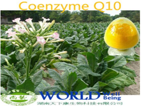 Hot Sell 100% Natural Coenzyme,Water Soluble 98% Coenzyme Q10 Powder,Coenzyme Q10