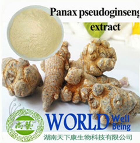 pseudo-ginseng extract | Panax pseudoginseng extract | sanchinoside UV 50%