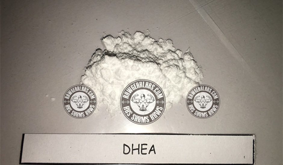  Dehydroisoandrosterone DHEA Powder  
