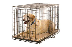 Foladble Metal Wire Dog Cage 42x28x32