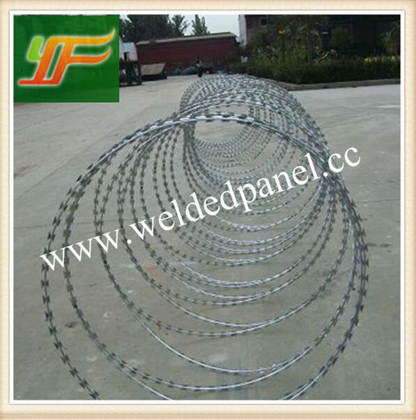 China best selling Hot-Dipped Galvanized and pvc coated razor Barbed Wire