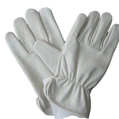 Hot Sale High Quality FACTORY SALE Cheap Prices Cow Leather Drivers Gloves