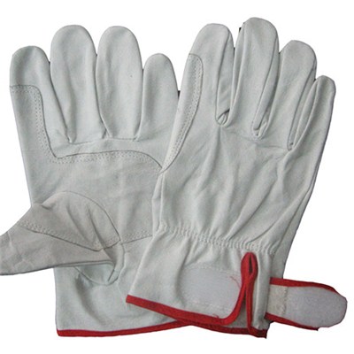 Good Quality Best Selling Pigskin Leather Driving Gloves New Style Leather Driving Gloves