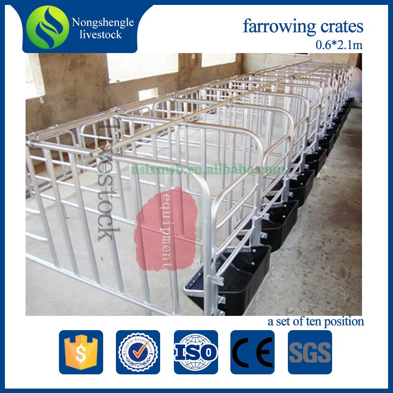 pig farming pen equipment breeding and gestation stalls