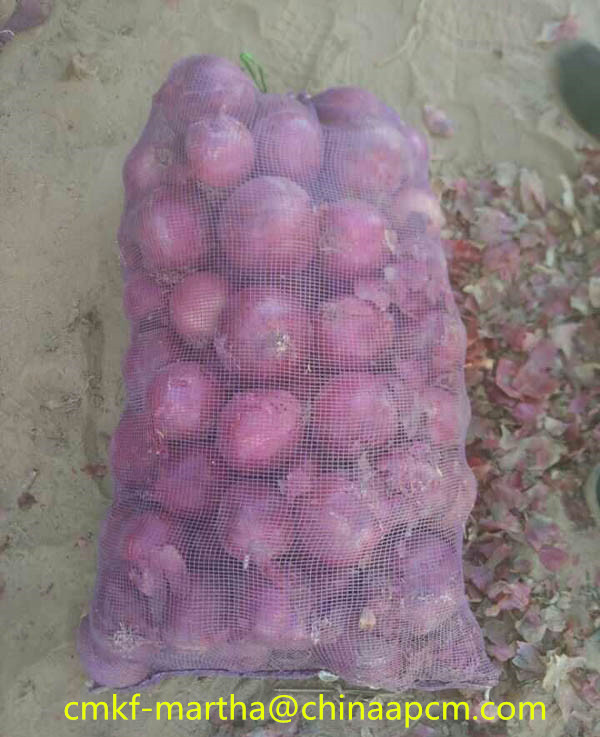 cheap price packing onions pe mesh bag