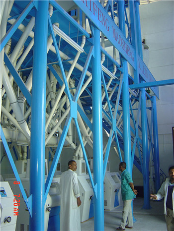  50t/d -150t/d good design high quality complete wheat flour milling plant for wheat processing in China