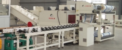 Non-standard automatic packaging machine