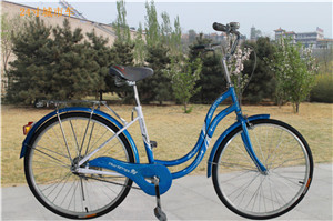 24 fullbetter single speed lady bicycle wholesale discount manufacture bike parts supplier  
